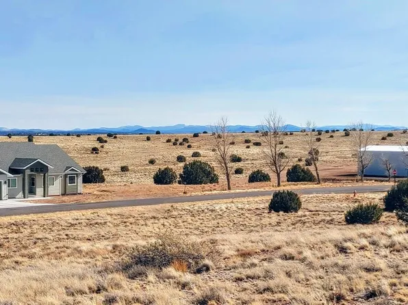 32 Taylor Farms Dr, Taylor, AZ 85939