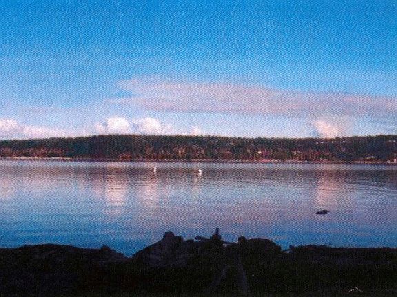 4th image of 3103 Shoreline Dr