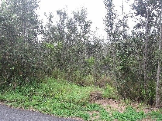 1st image of Lotus Blossom Ln Lot 25