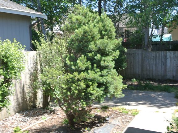 2nd image of 1300 Silverado Ave