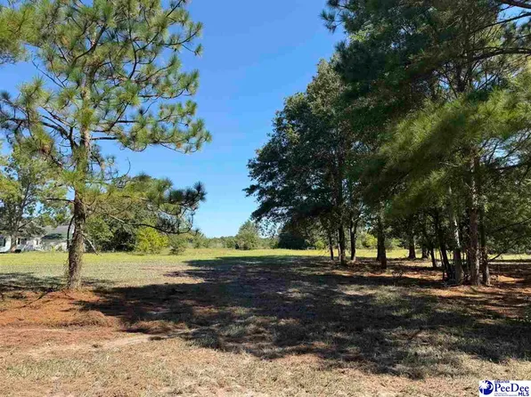LOT 4 Isaiah Dr, Dillon, SC 29536