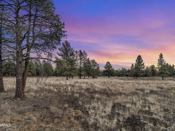 3353 Cazadero Trl, Flagstaff, AZ 86001