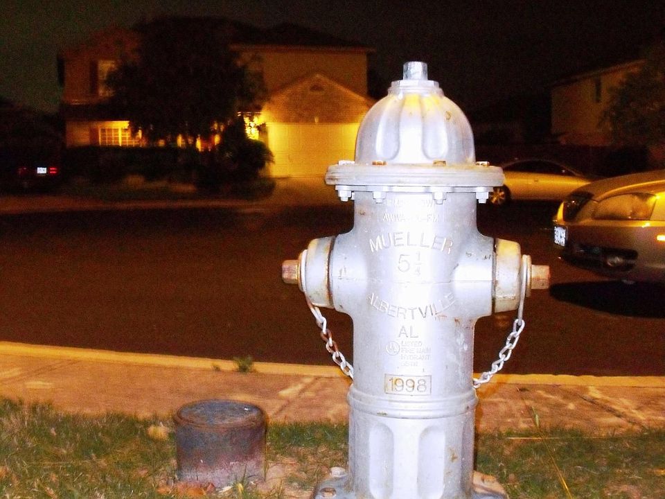 FIRE HYDRANT/LEFT SIDE DRIVEWAY