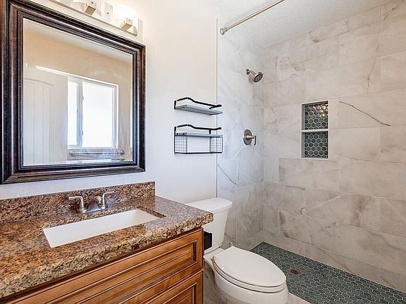 Brand New Just Remodeled! Master Bathroom