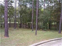 2nd image of 237 Camden Hills Dr