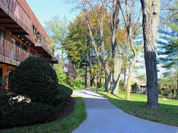 5th image of 74-49 Calamus Cir #1