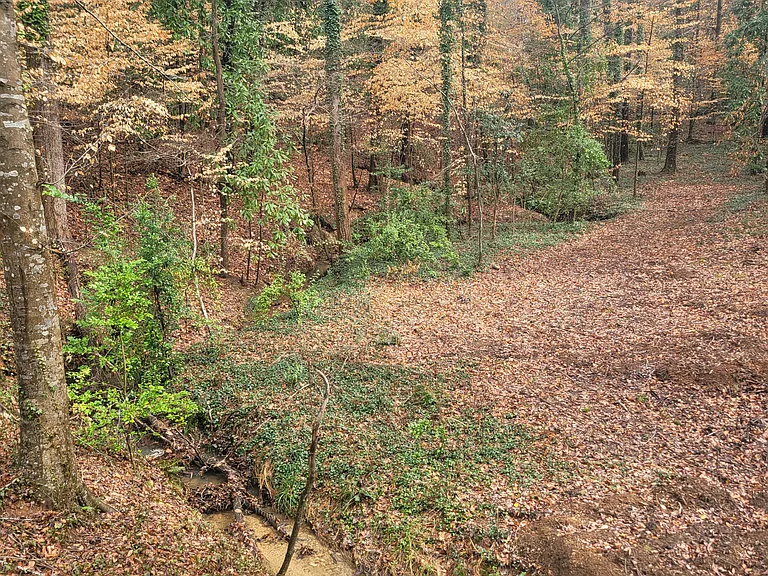 Loch Lomond Trl SW — Photo 28
