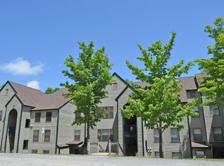 28 Fowler Rd #N303, Ludlow, VT 05149