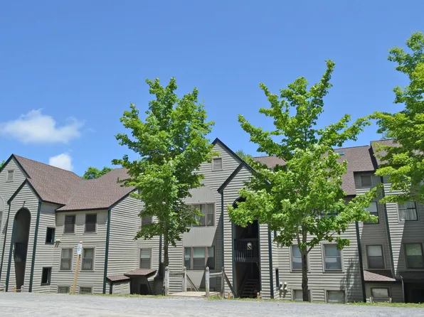 28 Fowler Road #N303, Ludlow, VT 05149