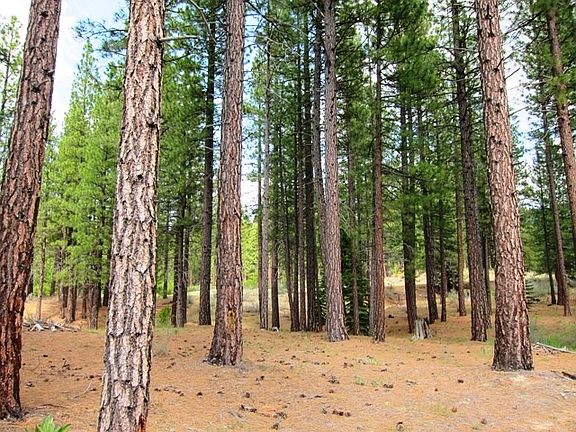 Level .75 acre homesite