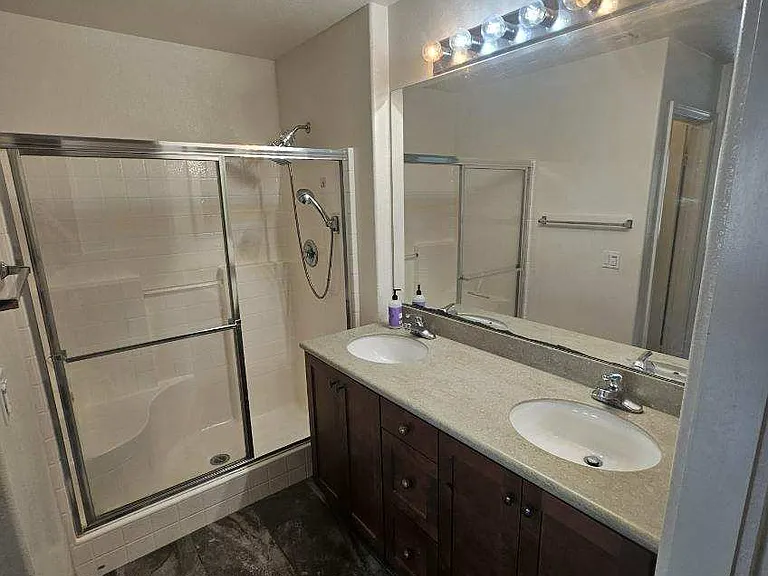 Primary Bedroom Shower and Sink
