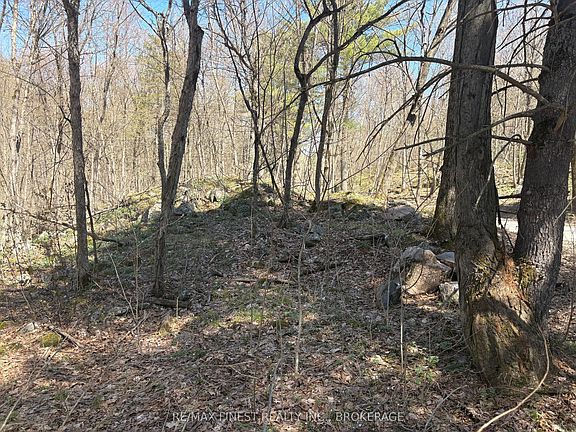 5th image of LOT 1 Sweetfern Ln
