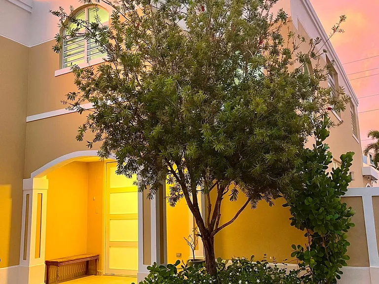 A-3 Alamo — Photo 1