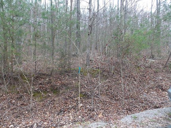 5th image of Laurel Lake Cir
