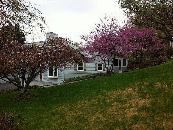 5th image of 239 Richardson Dr