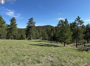 69 Coyote Run, Cotopaxi, CO