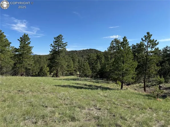 69 Coyote Run, Cotopaxi, CO 81223