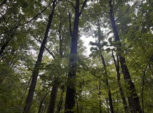 240701 SAWMILL ROAD, Aniwa, WI 54408
