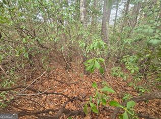 35 Vienna Ring, Helen, GA 30545