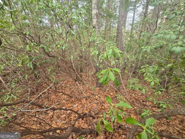 35 Vienna Ring, Helen, GA 30545