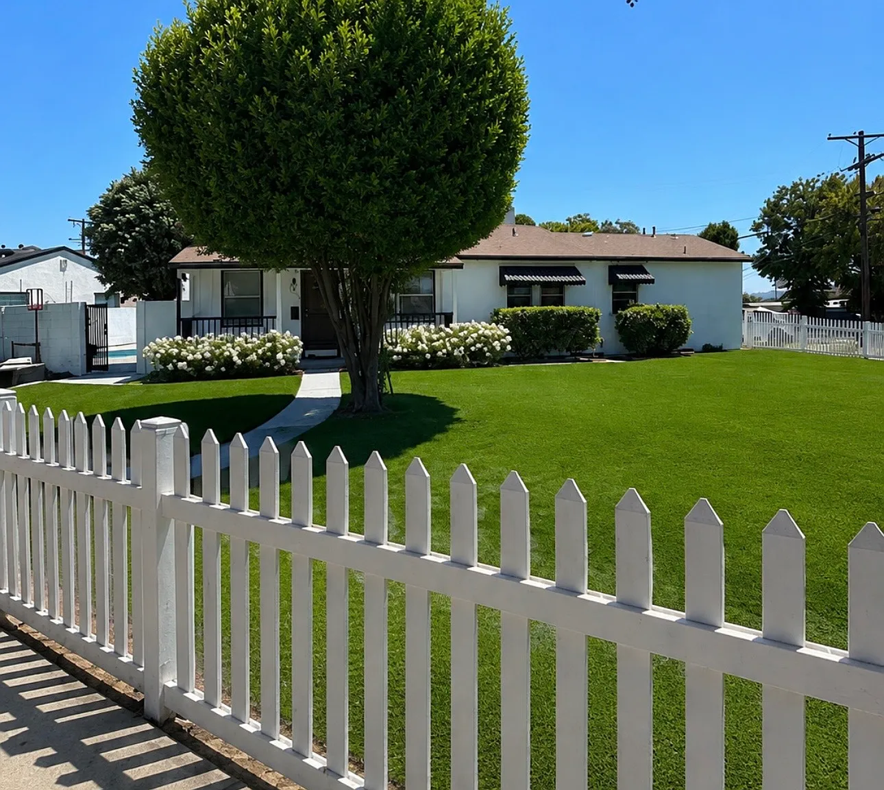 3 bed, 1200 sqft, $4,995 — Photo 1
