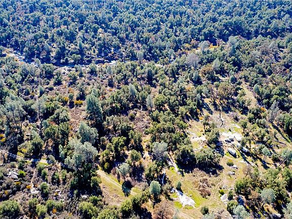 5th image of 4658 Little Bear Rd