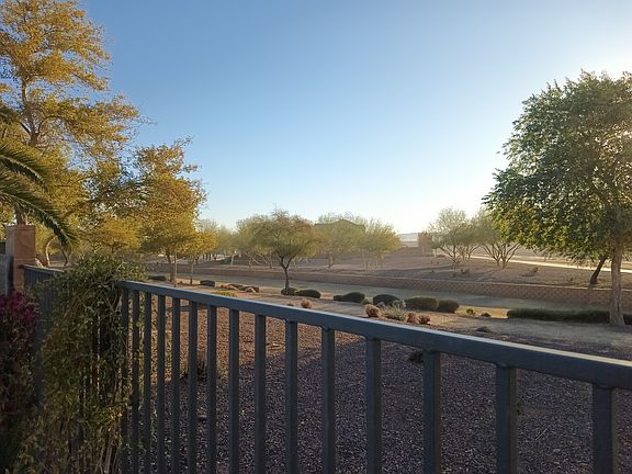 Backyard View