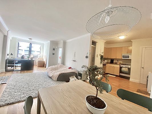 5th image of 108 W 15th St APT 5F