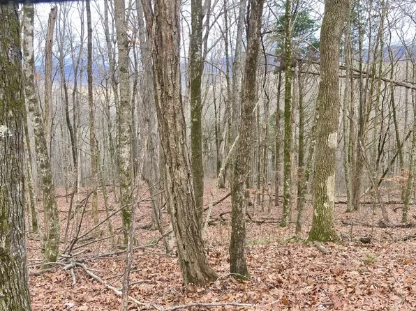 0 Monterey Hwy, Monterey, TN 38574