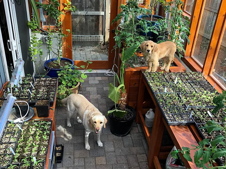 Greenhouse attached to master bedroom.