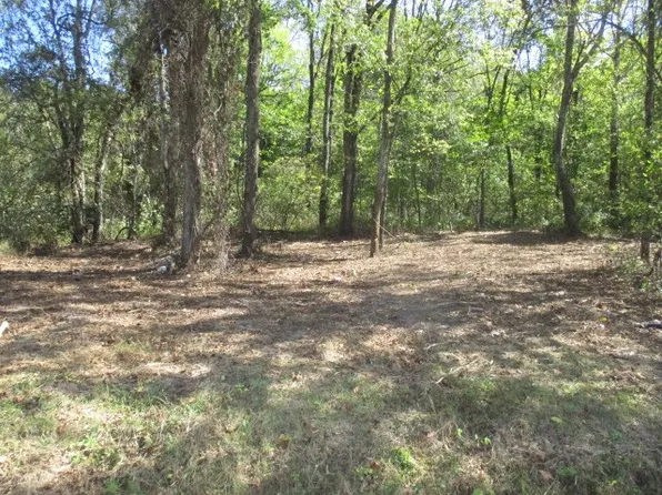 1129 Reese Rd Lot 1, Bethpage, TN 37022
