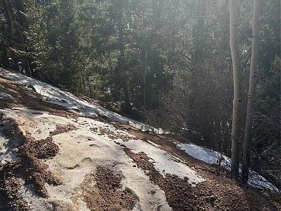 3rd image of 1600 Pikes Peak Dr