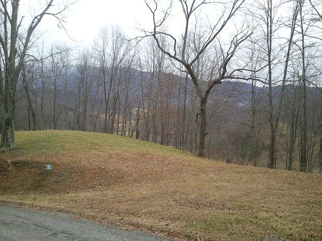 2nd image of Twin Hollows Lane