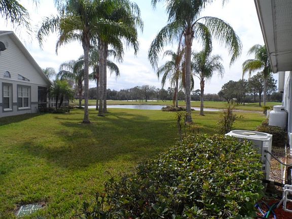 R side yard looking south