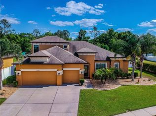 22246 Oakville Dr, Land O Lakes, FL 34639