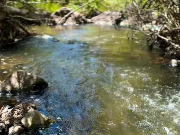 2115 2500 Drive, Cedaredge, CO 81413