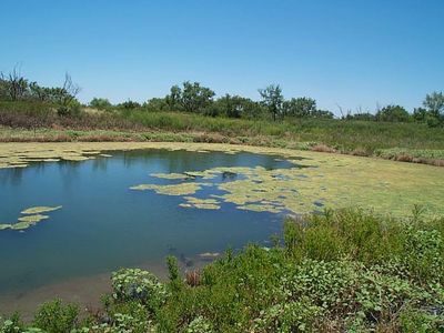 317 County Road 212, Bronte, TX, 76933