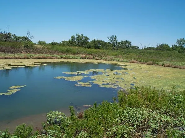 317 County Road 212, Bronte, TX 76933