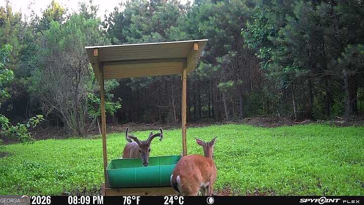 1st image of Carlisle Gap Rd