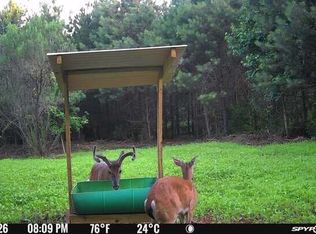 Carlisle Gap Rd, Woodland, GA 31836