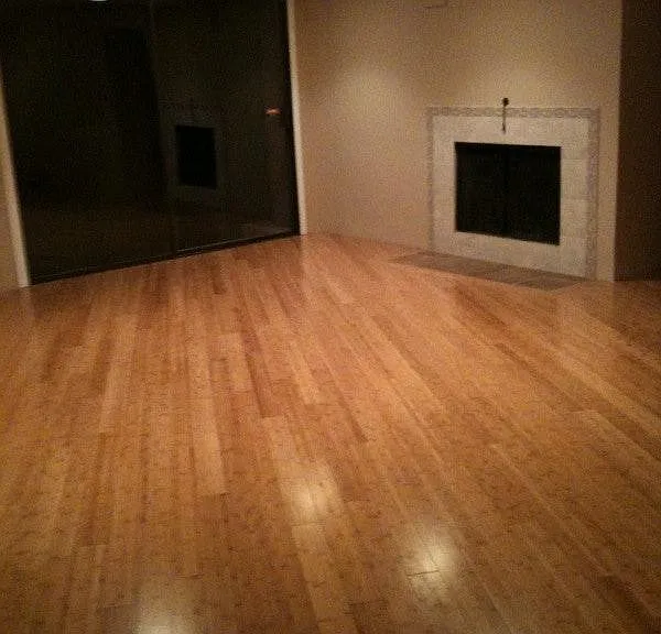 Downstairs livingroom