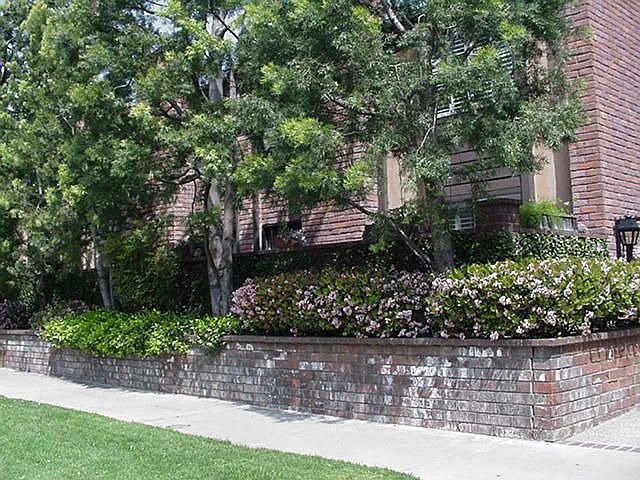 1st image of 700 S Lake Ave APT 135