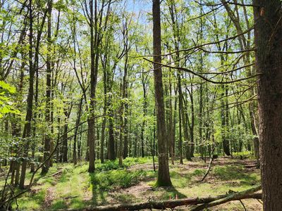 463 Eastwood Cir, Hawley, PA, 18428
