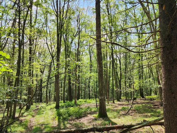 463 Eastwood Cir, Hawley, PA 18428