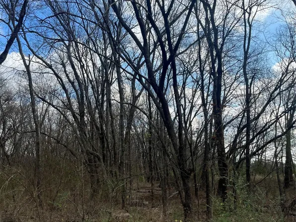 N/a Jackson Ave, Roxton, TX 75477