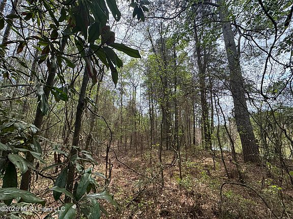 5th image of Stephens Rd