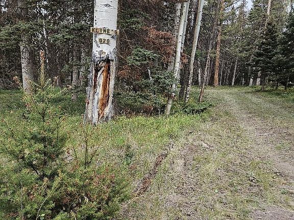 2nd image of 620 Balsam Road
