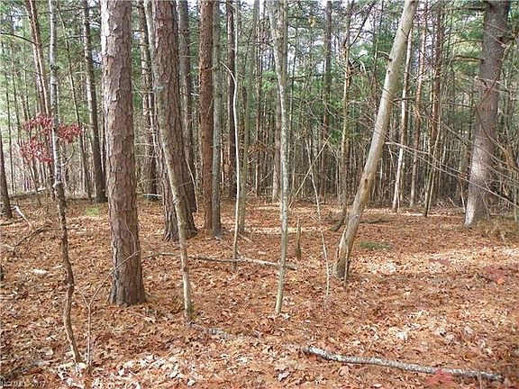 5th image of 999 Dogwood Dr #1