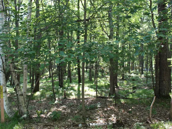 Woodland Ln Lot 15, Woodruff, WI 54568