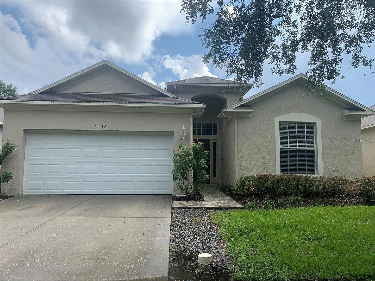19132 Wood Sage Dr, Tampa, FL33647 — Photo 1
